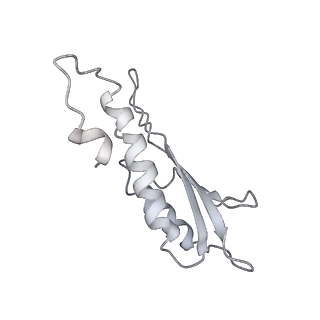 30359_7cgo_Dd_v1-2
Cryo-EM structure of the flagellar motor-hook complex from Salmonella