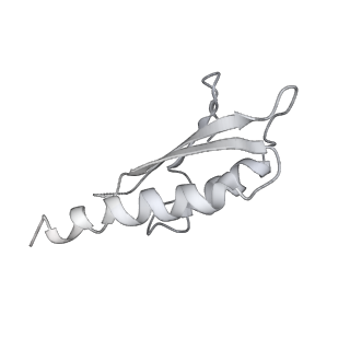 30359_7cgo_Di_v1-2
Cryo-EM structure of the flagellar motor-hook complex from Salmonella