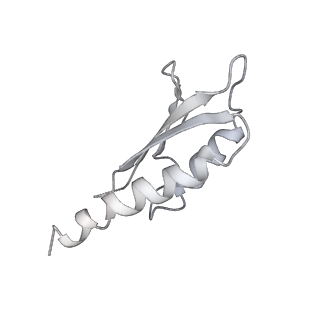 30359_7cgo_Dj_v1-2
Cryo-EM structure of the flagellar motor-hook complex from Salmonella