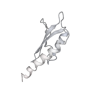 30359_7cgo_Dk_v1-2
Cryo-EM structure of the flagellar motor-hook complex from Salmonella