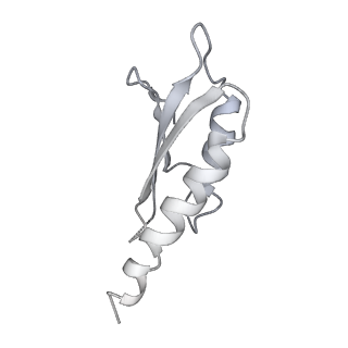 30359_7cgo_Dl_v1-2
Cryo-EM structure of the flagellar motor-hook complex from Salmonella