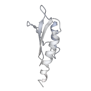 30359_7cgo_Dm_v1-2
Cryo-EM structure of the flagellar motor-hook complex from Salmonella
