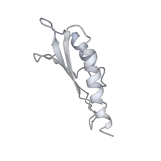 30359_7cgo_Do_v1-2
Cryo-EM structure of the flagellar motor-hook complex from Salmonella