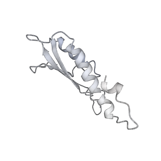 30359_7cgo_Dp_v1-2
Cryo-EM structure of the flagellar motor-hook complex from Salmonella