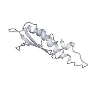 30359_7cgo_Dq_v1-2
Cryo-EM structure of the flagellar motor-hook complex from Salmonella