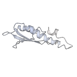 30359_7cgo_Dr_v1-2
Cryo-EM structure of the flagellar motor-hook complex from Salmonella