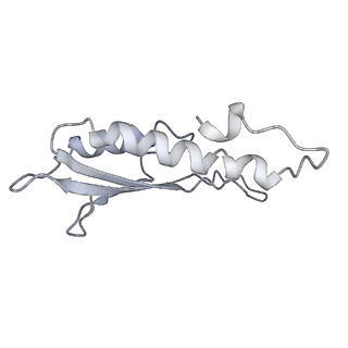 30359_7cgo_Ds_v1-2
Cryo-EM structure of the flagellar motor-hook complex from Salmonella