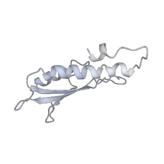 30359_7cgo_Dt_v1-2
Cryo-EM structure of the flagellar motor-hook complex from Salmonella