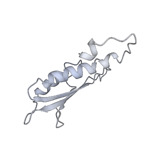 30359_7cgo_Du_v1-2
Cryo-EM structure of the flagellar motor-hook complex from Salmonella