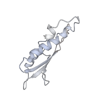 30359_7cgo_Dv_v1-2
Cryo-EM structure of the flagellar motor-hook complex from Salmonella