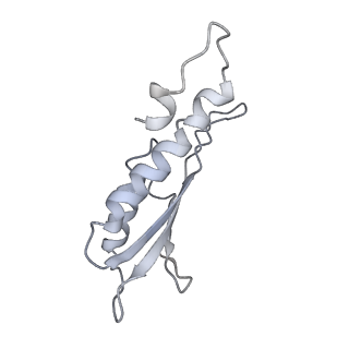 30359_7cgo_Dw_v1-2
Cryo-EM structure of the flagellar motor-hook complex from Salmonella