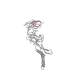 30359_7cgo_EA_v1-2
Cryo-EM structure of the flagellar motor-hook complex from Salmonella