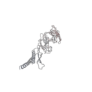 30359_7cgo_EB_v1-2
Cryo-EM structure of the flagellar motor-hook complex from Salmonella