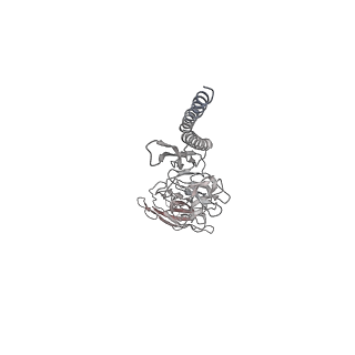 30359_7cgo_ED_v1-2
Cryo-EM structure of the flagellar motor-hook complex from Salmonella