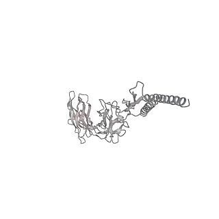 30359_7cgo_EE_v1-2
Cryo-EM structure of the flagellar motor-hook complex from Salmonella