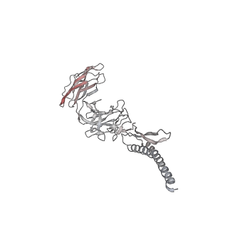 30359_7cgo_EF_v1-2
Cryo-EM structure of the flagellar motor-hook complex from Salmonella