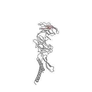 30359_7cgo_EG_v1-2
Cryo-EM structure of the flagellar motor-hook complex from Salmonella