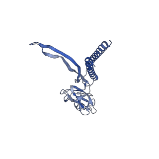 30359_7cgo_E_v1-2
Cryo-EM structure of the flagellar motor-hook complex from Salmonella