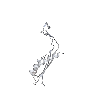 30359_7cgo_Ea_v1-2
Cryo-EM structure of the flagellar motor-hook complex from Salmonella