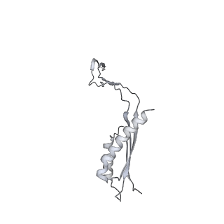 30359_7cgo_Eb_v1-2
Cryo-EM structure of the flagellar motor-hook complex from Salmonella