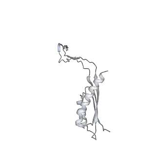 30359_7cgo_Ed_v1-2
Cryo-EM structure of the flagellar motor-hook complex from Salmonella
