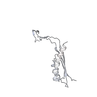 30359_7cgo_Ee_v1-2
Cryo-EM structure of the flagellar motor-hook complex from Salmonella