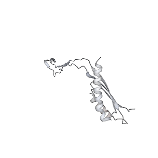 30359_7cgo_Eg_v1-2
Cryo-EM structure of the flagellar motor-hook complex from Salmonella