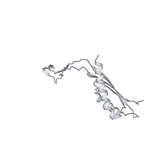 30359_7cgo_Eh_v1-2
Cryo-EM structure of the flagellar motor-hook complex from Salmonella