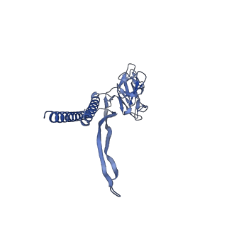 30359_7cgo_F_v1-2
Cryo-EM structure of the flagellar motor-hook complex from Salmonella