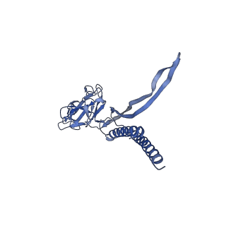 30359_7cgo_H_v1-2
Cryo-EM structure of the flagellar motor-hook complex from Salmonella