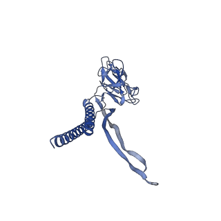 30359_7cgo_L_v1-2
Cryo-EM structure of the flagellar motor-hook complex from Salmonella
