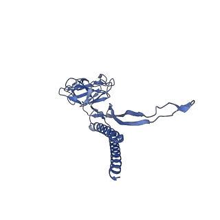 30359_7cgo_M_v1-2
Cryo-EM structure of the flagellar motor-hook complex from Salmonella