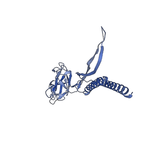 30359_7cgo_N_v1-2
Cryo-EM structure of the flagellar motor-hook complex from Salmonella