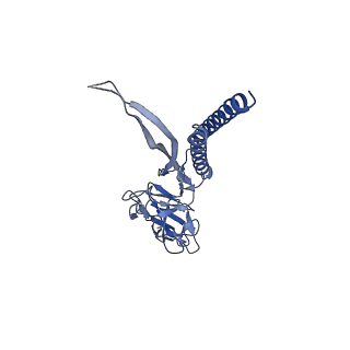 30359_7cgo_O_v1-2
Cryo-EM structure of the flagellar motor-hook complex from Salmonella