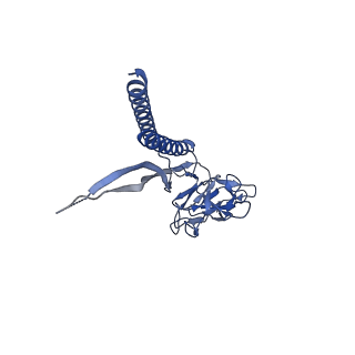 30359_7cgo_P_v1-2
Cryo-EM structure of the flagellar motor-hook complex from Salmonella