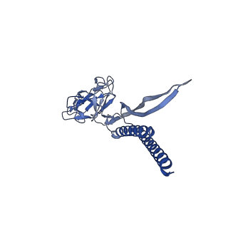 30359_7cgo_S_v1-2
Cryo-EM structure of the flagellar motor-hook complex from Salmonella