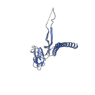 30359_7cgo_T_v1-2
Cryo-EM structure of the flagellar motor-hook complex from Salmonella