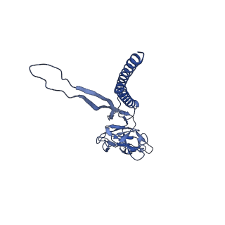 30359_7cgo_U_v1-2
Cryo-EM structure of the flagellar motor-hook complex from Salmonella