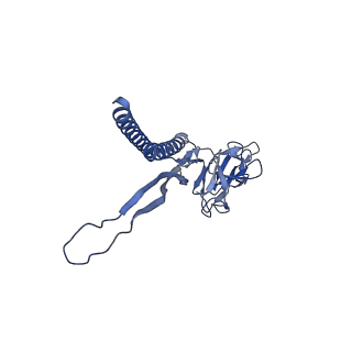 30359_7cgo_V_v1-2
Cryo-EM structure of the flagellar motor-hook complex from Salmonella