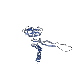 30359_7cgo_X_v1-2
Cryo-EM structure of the flagellar motor-hook complex from Salmonella