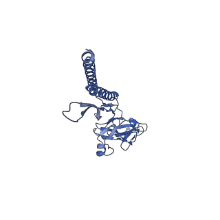 30359_7cgo_a_v1-2
Cryo-EM structure of the flagellar motor-hook complex from Salmonella