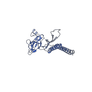 30359_7cgo_b_v1-2
Cryo-EM structure of the flagellar motor-hook complex from Salmonella