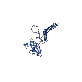 30359_7cgo_c_v1-2
Cryo-EM structure of the flagellar motor-hook complex from Salmonella