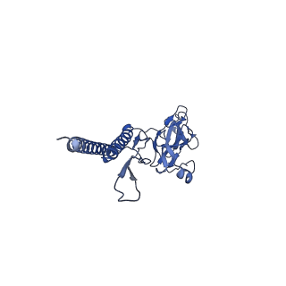 30359_7cgo_d_v1-2
Cryo-EM structure of the flagellar motor-hook complex from Salmonella