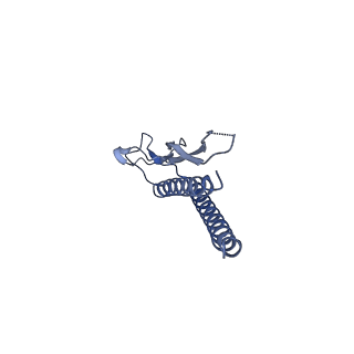 30359_7cgo_g_v1-2
Cryo-EM structure of the flagellar motor-hook complex from Salmonella