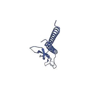 30359_7cgo_h_v1-2
Cryo-EM structure of the flagellar motor-hook complex from Salmonella