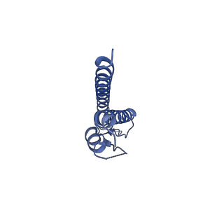 30359_7cgo_k_v1-2
Cryo-EM structure of the flagellar motor-hook complex from Salmonella