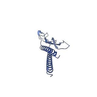 30359_7cgo_p_v1-2
Cryo-EM structure of the flagellar motor-hook complex from Salmonella