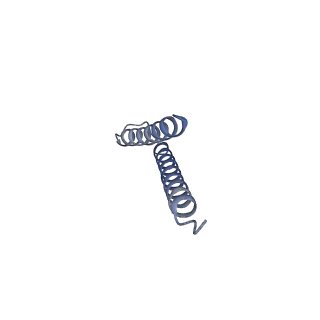 30359_7cgo_r_v1-2
Cryo-EM structure of the flagellar motor-hook complex from Salmonella