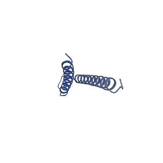 30359_7cgo_s_v1-2
Cryo-EM structure of the flagellar motor-hook complex from Salmonella